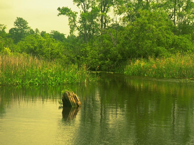 1024Landscape486